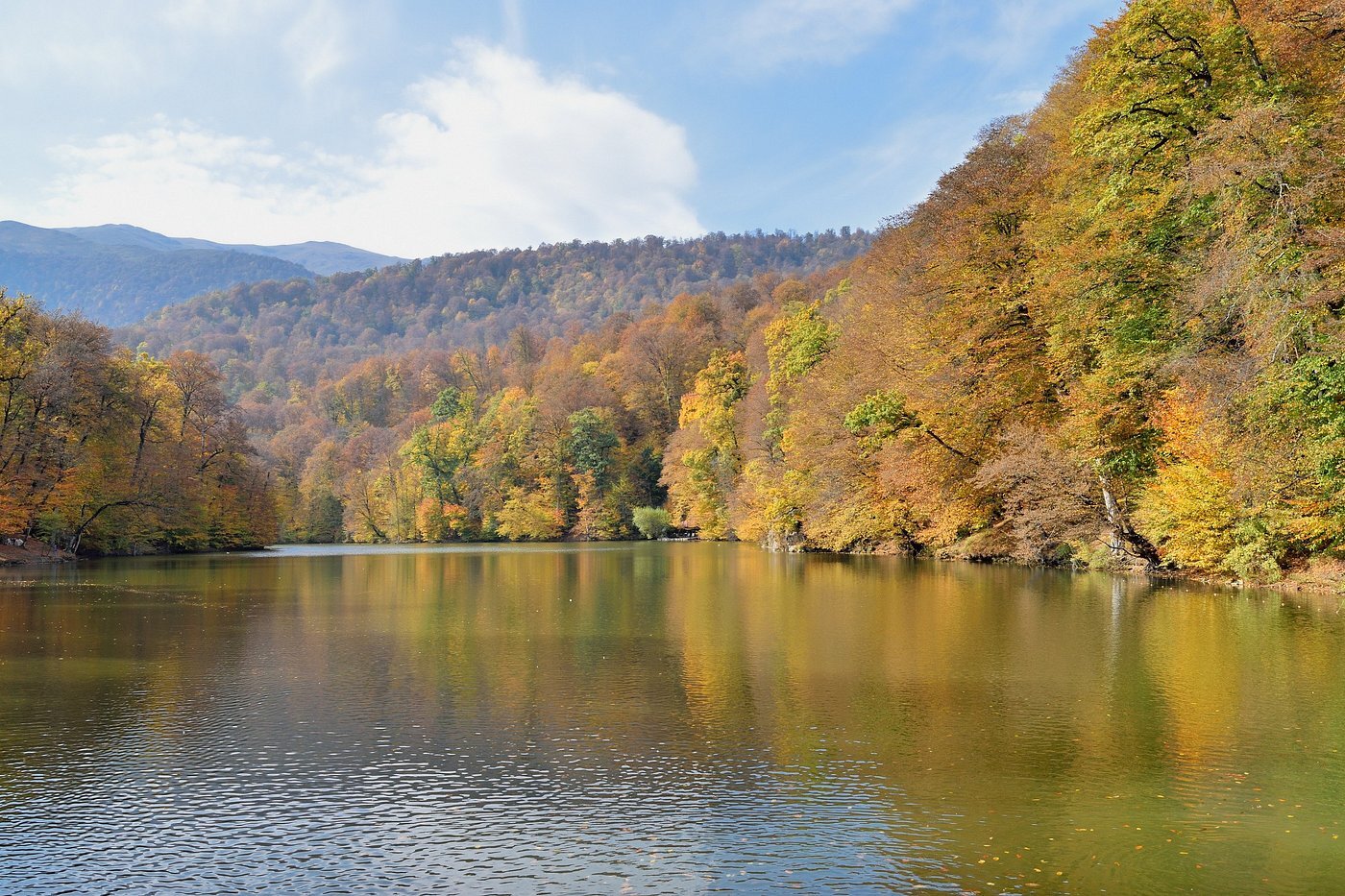 Налоговые режимы в Армении - от первых шагов до крупного бизнеса.